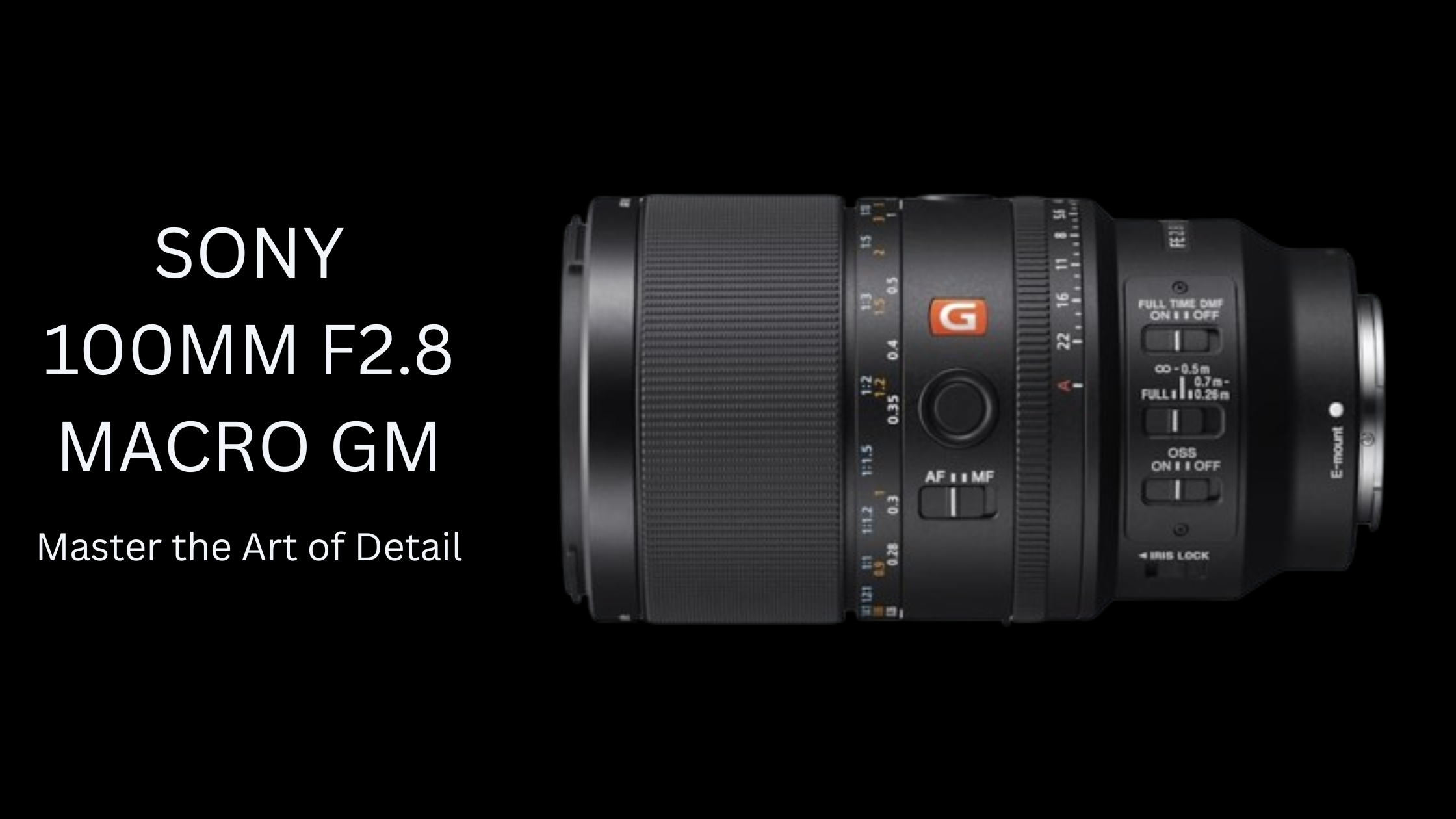 Sony 100mm F2.8 Macro GM OSS Lens – Master the Art of Detail